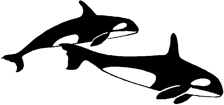 Wale (3804 Bytes)